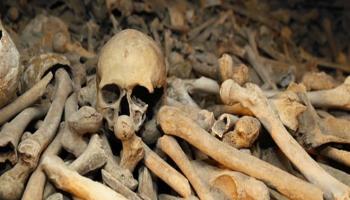 جماجم وعظام - أرشيفية