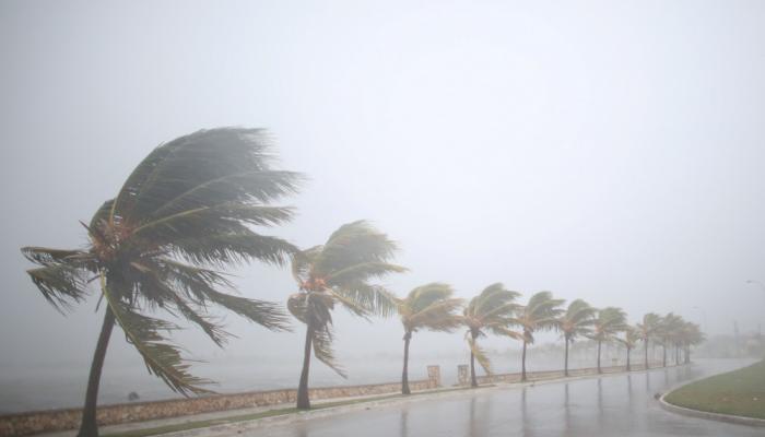 إعصار "إرما" يضرب أحد الشواطئ