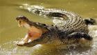 تمساح يقتل صحفيا من "فايننشال تايمز" في سريلانكا