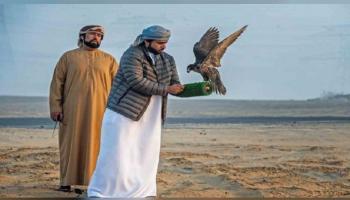 بطولة فزاع للصيد بالصقور