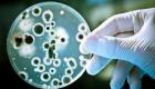 البكتيريا والجراثيم.. ما بين العدوى وتعزيز المناعة