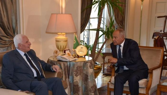 أحمد أبو الغيط وعزام الأحمد