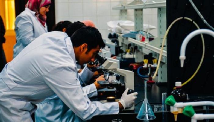 ملاحظات الرئيس السيسي أثلجت صدور الباحثين المصريين
