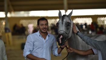 الممثل المصري مصطفى شعبان مع الفرس