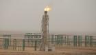العراق ينقل ملكية 9 شركات نفط حكومية إلى "النفط الوطنية" الجديدة