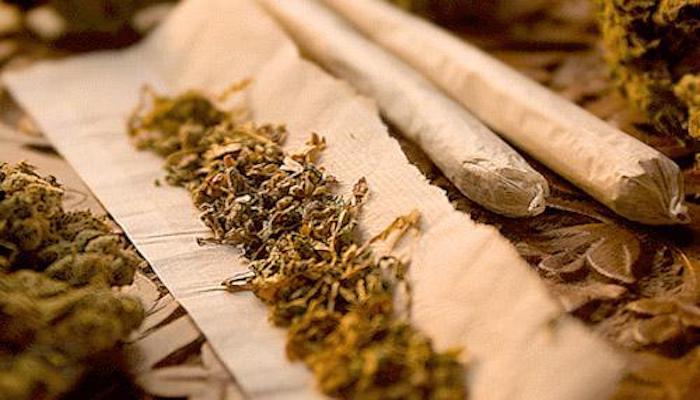 ارتفاع حوادث السيارات بولايات أمريكية شرعت الماريجوانا