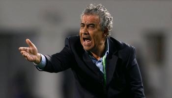 المدرب التونسي فوزي البنزرتي