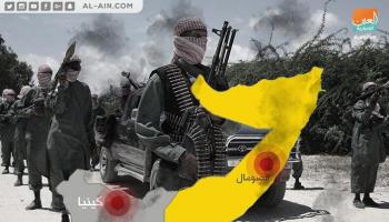 حركة الشباب الإرهابية