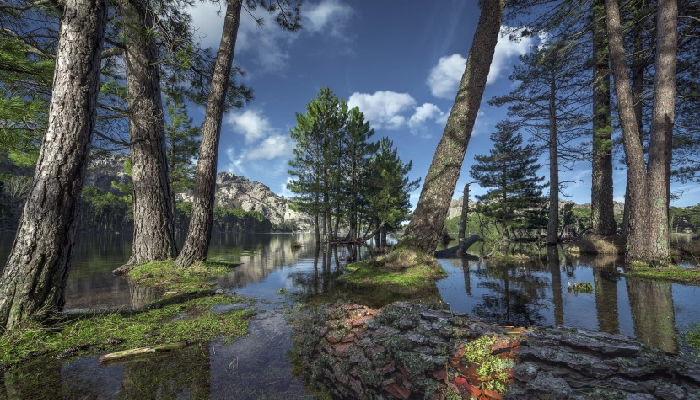 الحياة البرية ـ أرشيفية