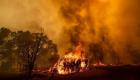 مقتل 9 وفقدان 35 في حرائق غابات كاليفورنيا