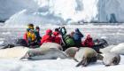 ملامح من الحياة في القارة القطبية الجنوبية "أنتارتيكا"