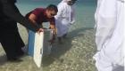 بلدية دبي تطلق أسماك "اليريور" في محمية جبل علي