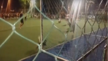 كلب يتصدى لركلة جزاء