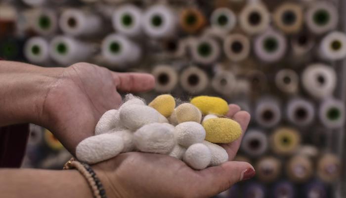 صناعة الحرير الطبيعي في مدينة سوفلي اليونانية