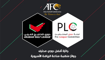 لجنة دوري المحترفين الإماراتي 