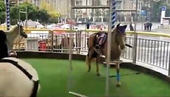 غضب في الصين بعد استخدام خيول حقيقية في لعبة ملاهي