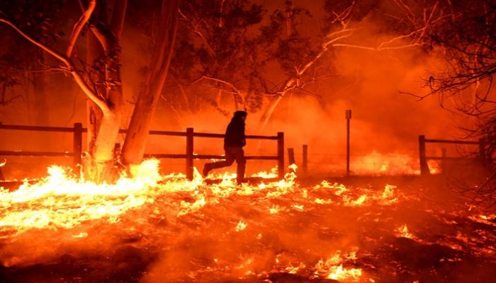 حرائق الغابات في كاليفورنيا