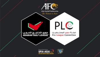 لجنة دوري المحترفين الإماراتي 