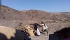 مقتل وأسر 30 حوثيا في معارك مع الجيش اليمني بين لحج وتعز