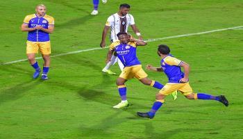 الدوري السعودي للمحترفين