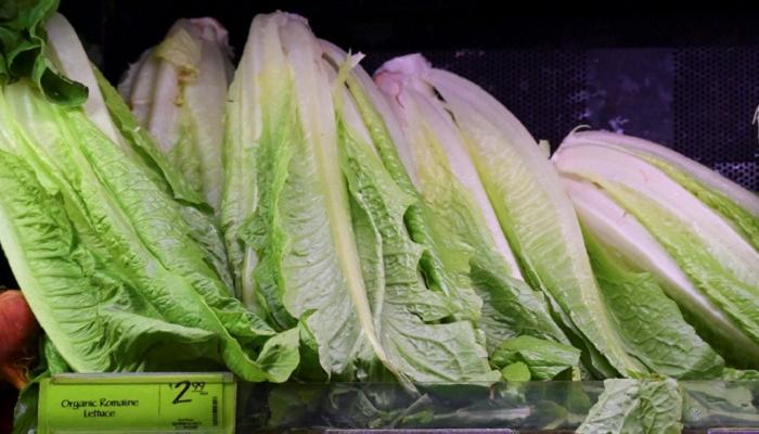 121-152103-california-epidemic-lettuce-usa_700x400.jpeg