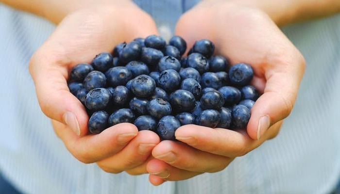 8 أطعمة لتعزيز المناعة في الشتاء