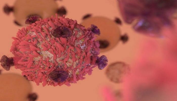 العلاج يحقق نتائج إيجابية في استهداف الخلايا السرطانية - صورة أرشيفية
