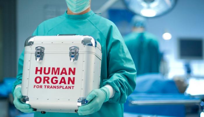 هولندا تعد مسودة قانون لتنظيم تجارة الأعضاء البشرية