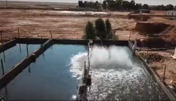 صاحب مطعم سعودي يربي السمك في الصحراء