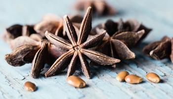 فوائد الينسون للبشرة والرجيم
