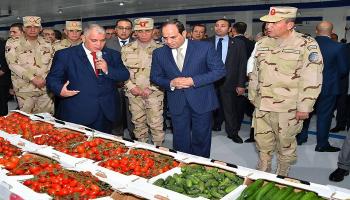 السيسي أثناء افتتاح محطة الصوب الزراعية