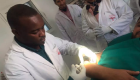 "الصحة" العالمية تحذر من انتشار وباء "الليشمانيا" الجلدي في ليبيا