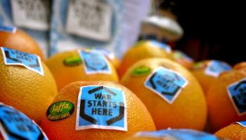 الحكومة الفلسطينية تمنع استيراد الخضار والفواكه من إسرائيل