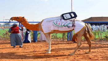 مهرجان سلطان بن زايد التراثي 2018