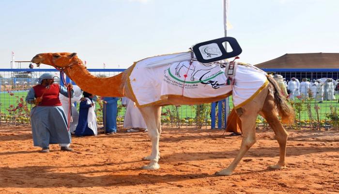 مهرجان سلطان بن زايد التراثي 2018