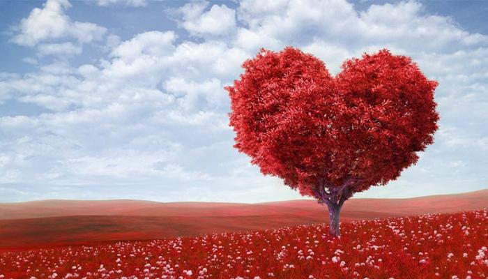 إظهار الاهتمام بالحبيب يشعره بالطمأنينة