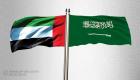 وزارة الدفاع الإماراتية تبحث ونظيرتها السعودية التعاون العسكري