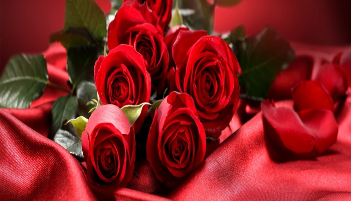 صورة وردة حمراء مع قلوب متحركة حب وغرام ورومانسية صور ورد وزهور