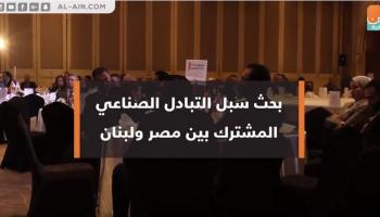 دعم التعاون الصناعي بين مصر ولبنان