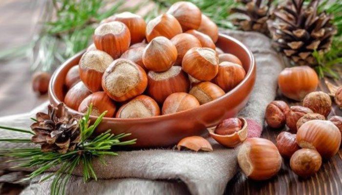 فوائد البندق على صحة الإنسان