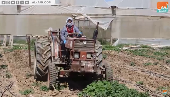 اتحاد عياد.. فلسطينية عشقت الأرض وترابها