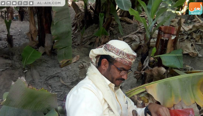 قائد الحزام الأمني في أبين عبداللطيف السيد
