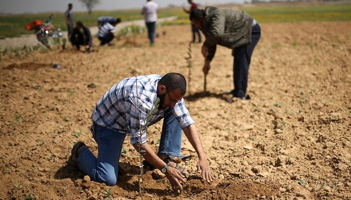 غزة تواجه أزمة حادة في نقص المياه - رويترز