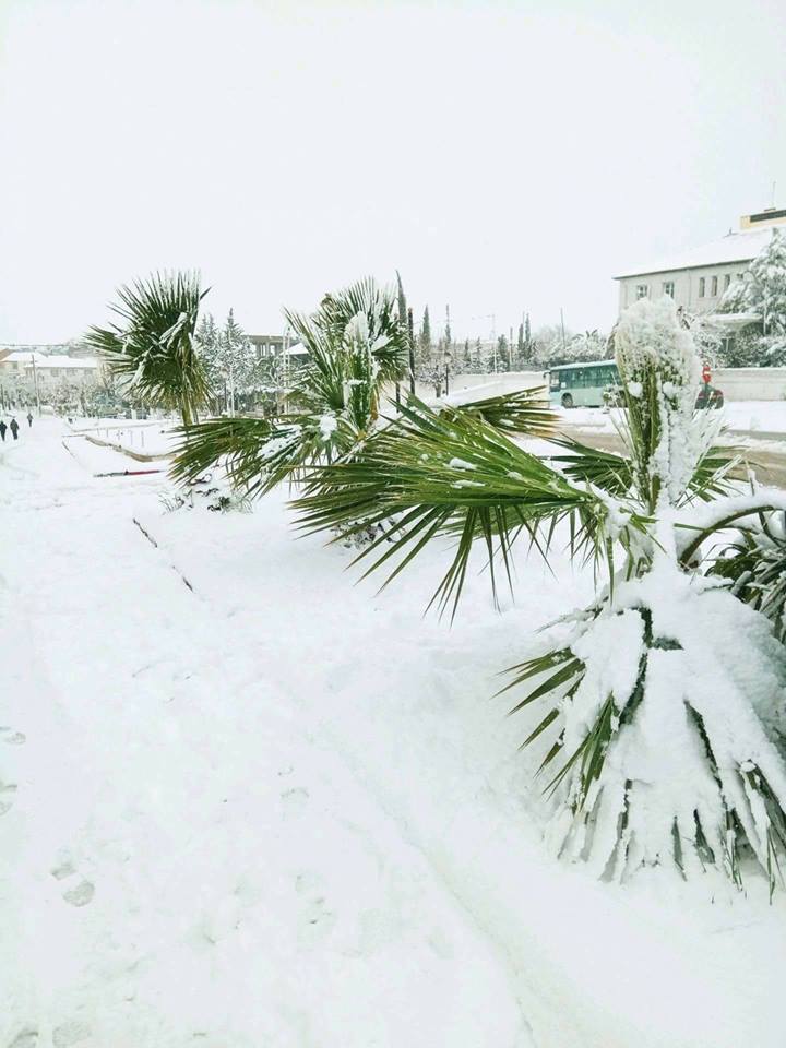 الثلوج في مدينة برج بوعريريج 