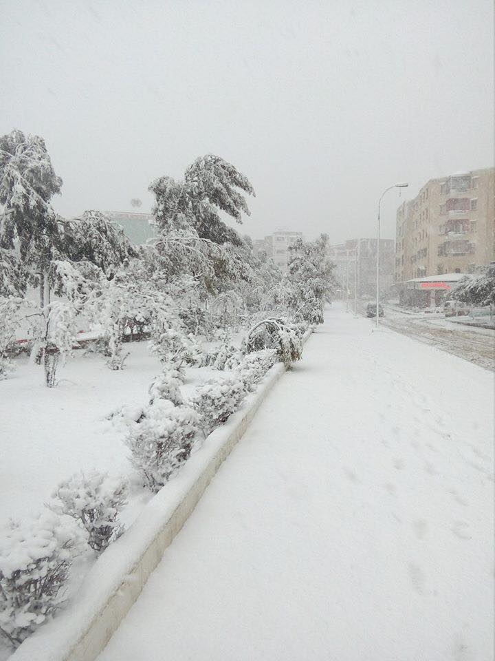 الثلوج في مدينة سطيف الجزائرية 