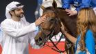 حمدان بن محمد يثني على بطل كأس دبي العالمي للخيول
