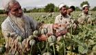 أفغانستان.. ضربات جوية موسعة لمواقع إنتاج مخدرات "طالبان"