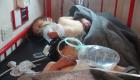 ما غاز الأعصاب الذي قتل أطفال سوريا ونساءها؟