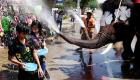  بالصور.. أفيال تايلاند تخفف من حرارة الجو بمهرجان المياه
