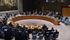روسيا تدعو مجلس الأمن إلى الاجتماع الجمعة بشأن سوريا